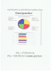 <エマジェネティックス・プロファイルのサンプル>