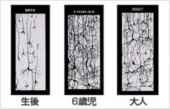 思考や行動のパターンとは